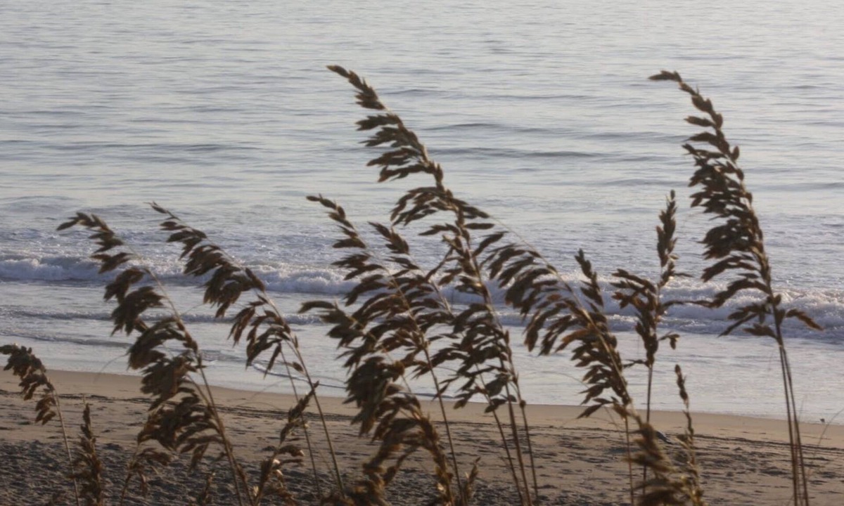 Southern Shores Cottage | Sea Breezes North - Just Steps To The Beach!