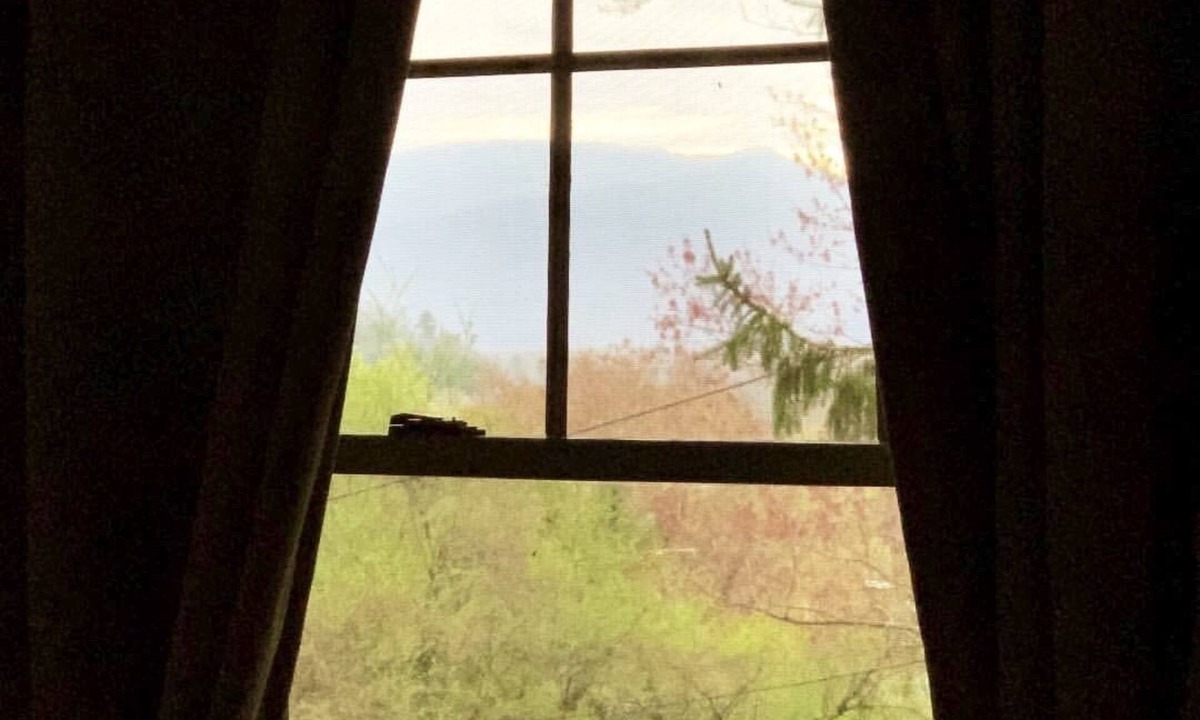 Kenilworth House | Secluded Spacious Cottage with Mountain views 1 mile to Downtown