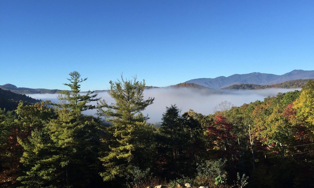 Spruce Pine House | Secluded/ Views/Trails/Cave/Blue Ridge Pkwy