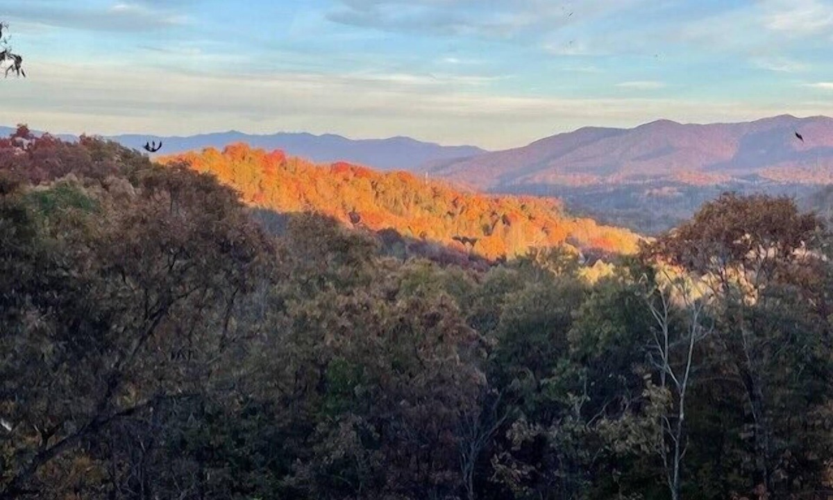Bryson City Cabin | 'See The View' Times 2