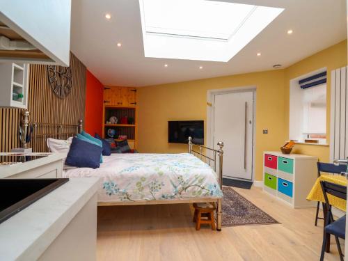Hoole House | Skylights