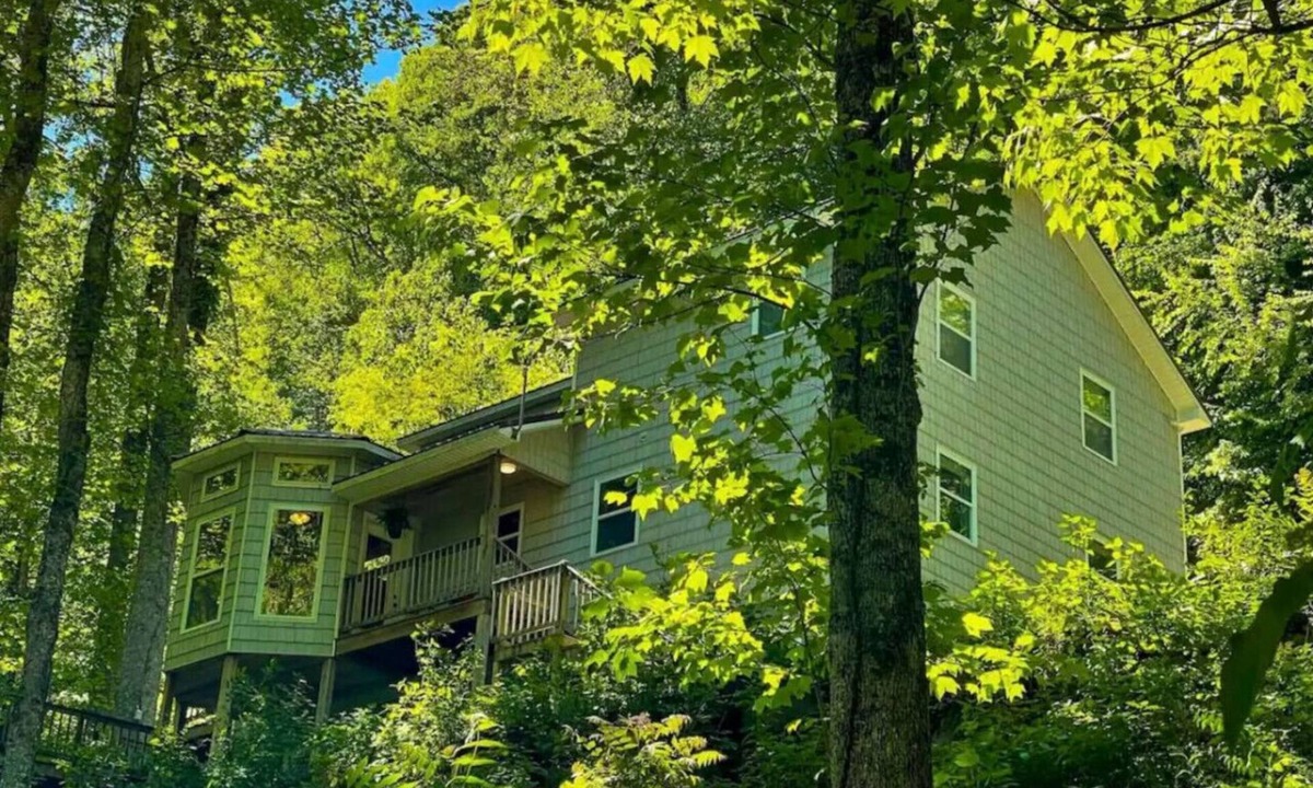 Hot Springs Cabin | Spacious 3 Bedroom Cabin Plus One Bedroom Beekeeper Cabin Waterfalls AWD or 4WD recommended