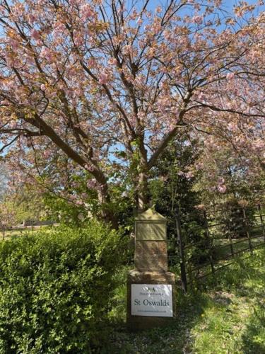 Briggswath Cabin | St Oswalds Estate Lodges