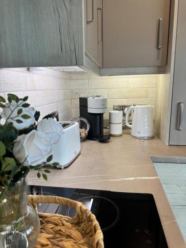 Dungannon Apartment | Studio 7