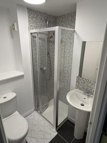 Montrose Apartment | Studio Flat