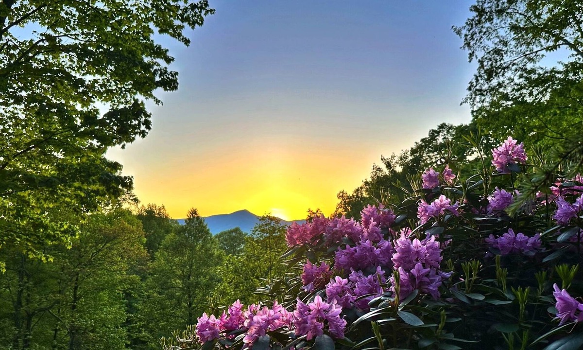 Waynesville Cabin | Stunning 3-bedroom private mountain retreat nestled in the Smoky Mountains
