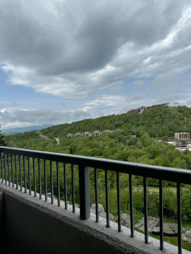 Sugar Mountain Apartment | Sugar Top 2103 condo