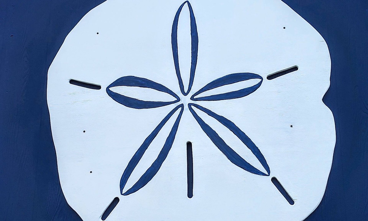 Harkers Island House | The Blue Sand Dollar at Harkers Island! Water Views, 4 beds 2 baths!
