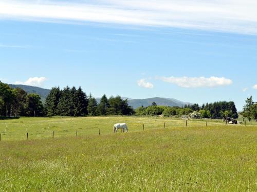 Blairgowrie House | The Wee Cabin - Uk5856