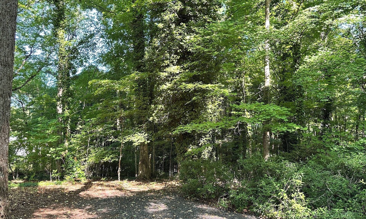 Winston - Salem House | Tranquil Nature Retreat: Enjoy this Beautiful Home surrounded by Trees & Flowers