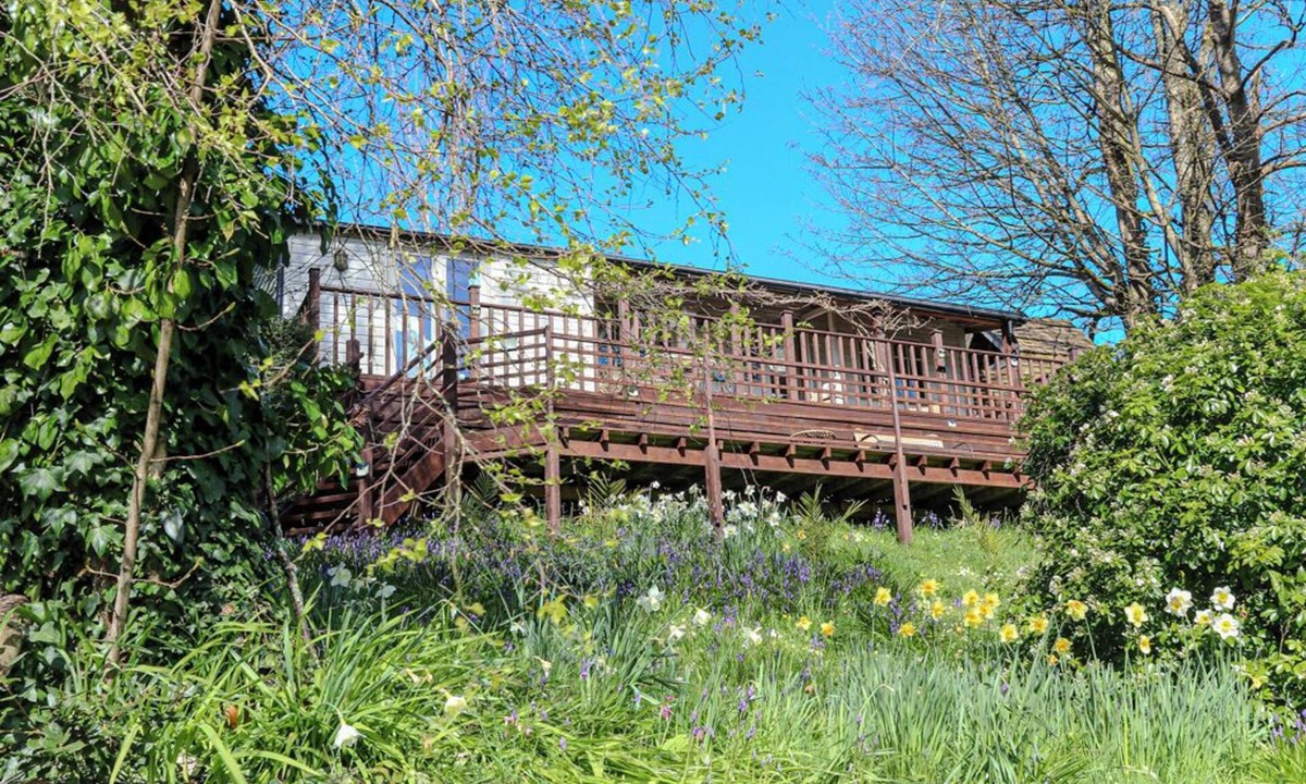 Burgh Island Cabin | Treetops, a peaceful haven retreat only 1 mile from Bantham beach in South Devon