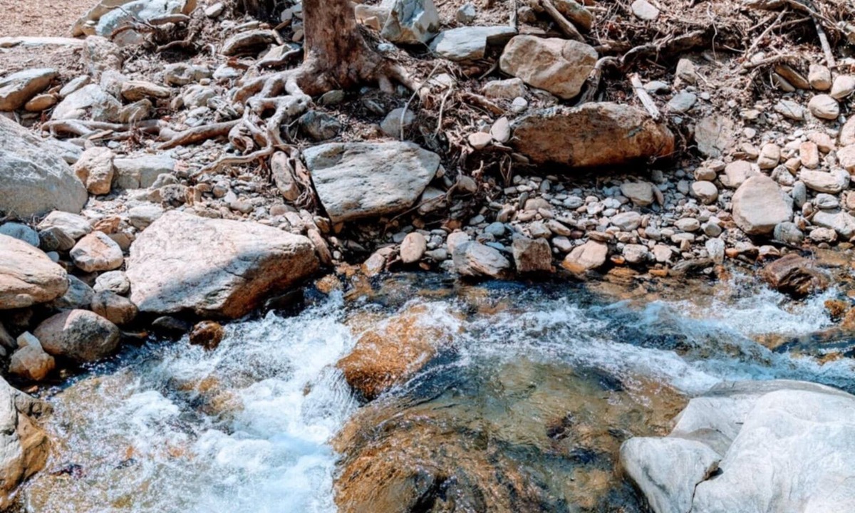 Old Fort Cabin | Unique & tranquil getaway Next to Pisgah National Forest perfect place to relax