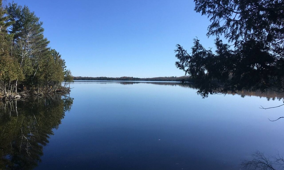 Ely Cabin | Very Private cabin on Eagles Nest Lake 3