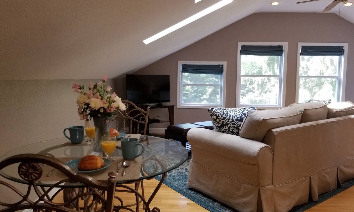 Black Mountain Apartment | Walk to Everything! Large studio with hot tub in Black Mountain