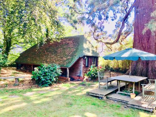 Botley Bed & Breakfast | Woodland Chalet at Otters Green