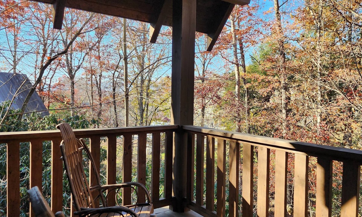 Cheshire Cabin | Wren’s Den | Cozy Cabin w/Fireplace + Jetted Tub + Biltmore Pass