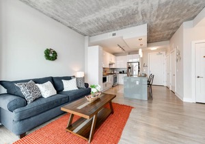 1BR furnished Apartment in Charlotte near Uptown Area apts