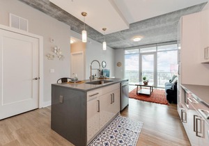 1BR furnished Apartment in Charlotte near Uptown Area apts