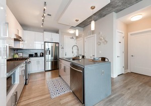 1BR furnished Apartment in Charlotte near Uptown Area apts