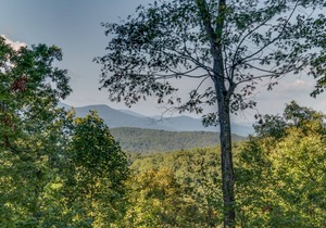 Almost Haven | Located between Saluda and Tryon | 25 Min. to TIEC; Zip-lining, hiking & more!