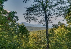 Almost Haven Located between Saluda and Tryon 25 Min. to TIEC; Zip-lining, hiking & more!