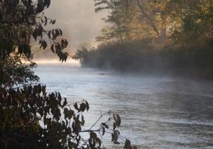 Andrews River Haven
