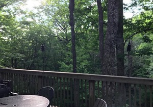 Beech Mountain Chalet