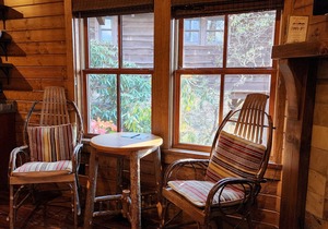 Blue Jay’s Perch | Cabin w/Loft + Jetted Tub + Biltmore Pass