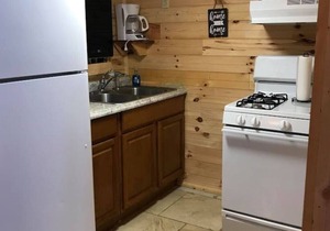 Buck Hill Tiny Home Cabin #4 Mountain & Pond Views