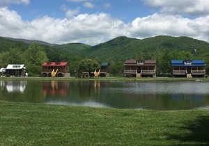 Buck Hill Tiny Home Cabin #4 Mountain & Pond Views