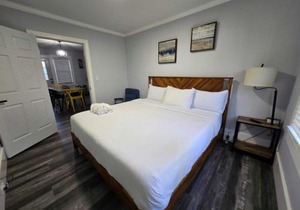 Charlotte Luxury Home NoDa
