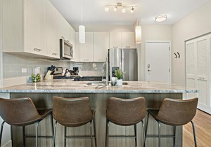 Classy & Peaceful 2BR Apt in Oakbrook OAK23 in Oakbrook Terrace