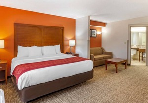 Comfort Inn Greensboro - Kernersville