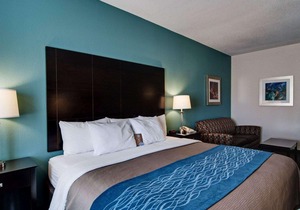 Comfort Inn Mount Airy