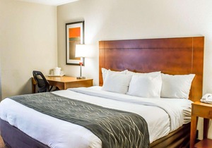 Comfort Inn Near Fort Bragg
