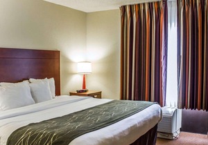 Comfort Inn Near Fort Bragg