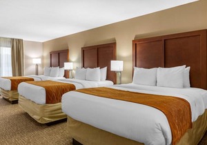 Comfort Inn Smithfield