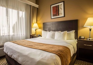 Comfort Suites Lumberton