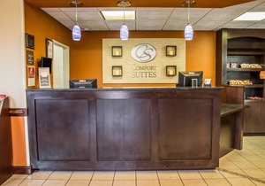 Comfort Suites near Camp Lejeune