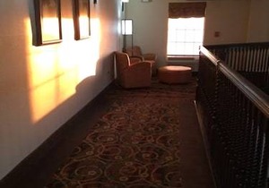Comfort Suites near Camp Lejeune