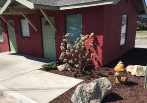 Convenient Location/Newly Renovated/ Asheville NC/303