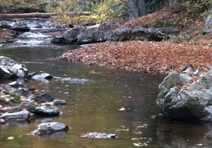 Cozy Little Cabin Located Along The Banks Of A Beautiful Trout Stream