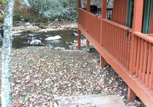 Cozy Little Cabin Located Along The Banks Of A Beautiful Trout Stream