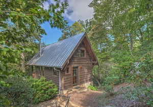 Cozy, updated cabin in Village of Cheshire/Black Mountain. Includes Biltmore!