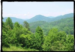 Deer Country Cabins 1 - Long Range View, Dogs OK