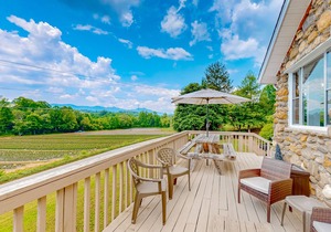Dog-friendly home with gorgeous mountain views - near Asheville, lake, & skiing