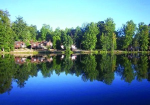 Forest Lake Camping Resort Cabin 15