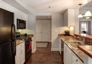 Large Condo Near Biltmore Estate