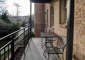 Large Condo Near Biltmore Estate
