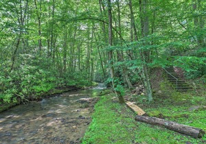 Laurel Creek Lodge with Hot Tub and Creek Access!